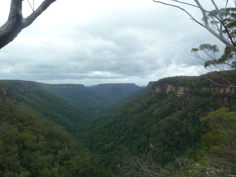 fitzroy falls